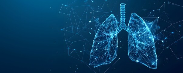 Digital Representation of Human Lungs with a Network of Lines and Points