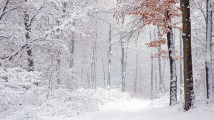 A serene winter landscape with snow-covered trees and a peaceful pathway.