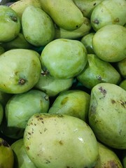 Green mangoes' piles from indonesia mango farmers garden.