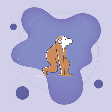 Monkey flat vector illustration. Human evolution, animal, zoo concept for banner, web design