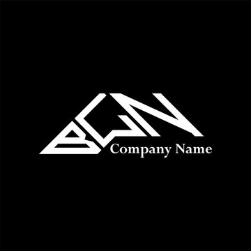 BLN logo design, BLN simple and modern logo. BLN luxurious alphabet design