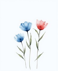 Fototapeta premium Watercolor painting of delicate blue and red flowers on clean white background, ideal for decor, marketing, and wellness industries, evokes calm and beauty, spacious layout