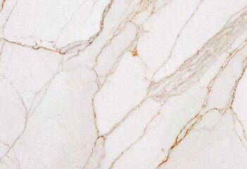 Satvario Marble background Texture for ceramic design.