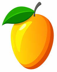  Ripe Mango  vector  illustration 

