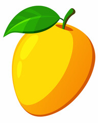 Ripe Mango  vector  illustration 
