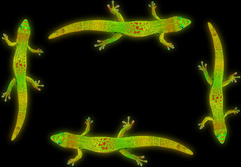 Bordure de lézards verts, fond noir 