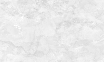 Obraz premium The image features a subtle, light gray marble texture with soft, cloudy patterns.