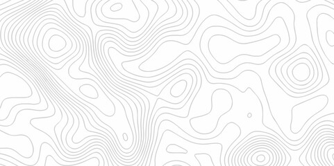 Pattern with grid lines seamless topography counter map. abstract sea mounted map area space geometric line technology topo landscape mountain striped cartography map texture background.