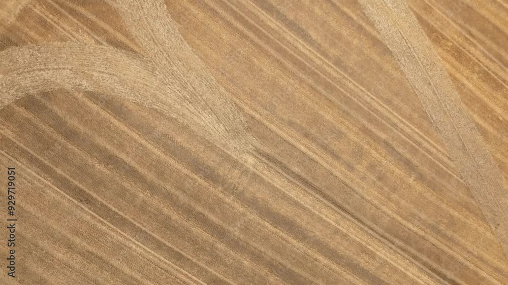 Poster crop circle with a heart pattern on rural fields. - aerial ascend shot