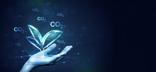 Hand holding with tree for co2, ESG and net zero. energy saving concept. save our planet, world environment day, world earth day. sustainable development and green business.