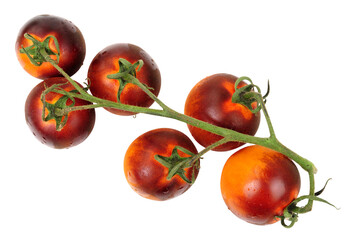 Fresh ripe purple skinned umami flavour vine tomatoes isolated on a white background