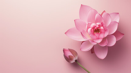 Dark pink lotus flower on light pink background