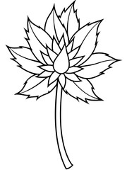 Eryngium flower line art