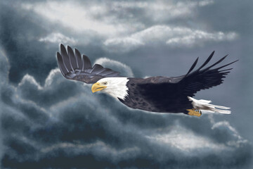 Eagle soar in the storm
