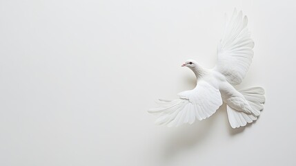 Obraz premium Top view of a single white dove on a clean, white background, symbolizing peace and purity with ample copy space