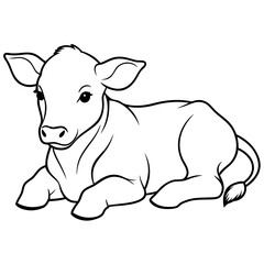 1 month old angus calf line line art vector illustration