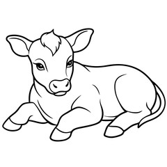 1 month old angus calf line line art vector illustration