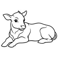 1 month old angus calf line line art vector illustration