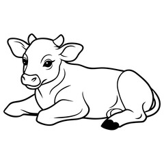 1 month old angus calf line line art vector illustration