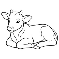 1 month old angus calf line line art vector illustration