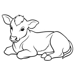 1 month old angus calf line line art vector illustration