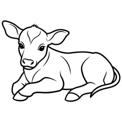 1 month old angus calf line line art vector illustration