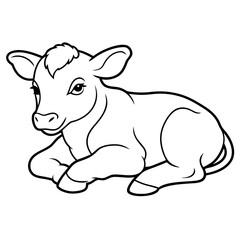 1 month old angus calf line line art vector illustration
