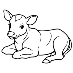 1 month old angus calf line line art vector illustration