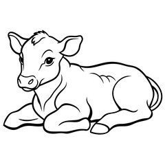 1 month old angus calf line line art vector illustration