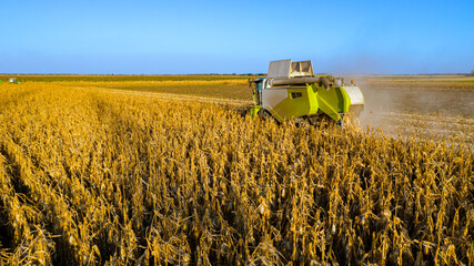 Above view on combine, harvester machine, harvest ripe maize
