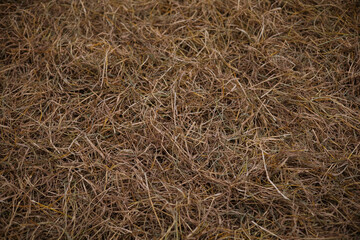 Straw grass on a brown farm background