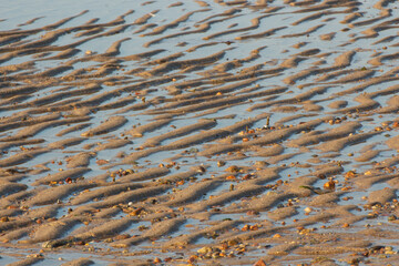 Natural Sand Rippling Pattern at Low Tide close up view