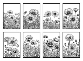 Field poppy. Black and white line art. T-shirt print, tattoo design.