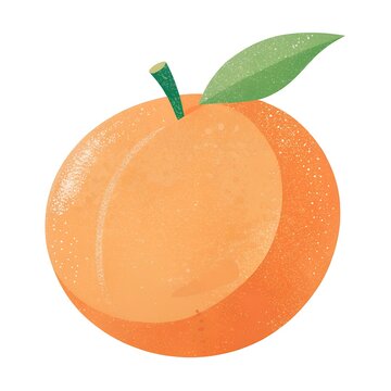 orange peach fruit with green leaf clip art preview