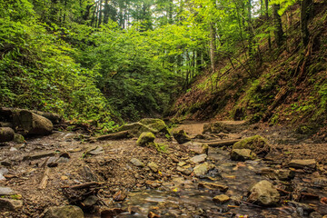 Cascada Bursuc - Europe, Romania - 201 Holovni Street, Putna