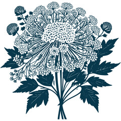 Aesthetic Beautiful Queen Anne’s Lace Flower Bouquet Illustration Graphic Silhouette Illustration
