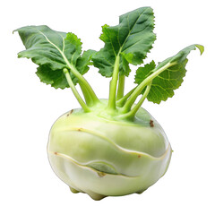 Fresh kohlrabi isolated on transparent background