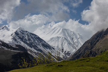 Kazbek mountain in Snow Winter Sunny day