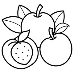 fruits art vector illustrator
