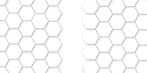 Fototapeta premium Abstract background with white color hexagons and seamless pattern vector design . luxury white pattern geometric mesh cell texture .hexagon 3d background texture design .