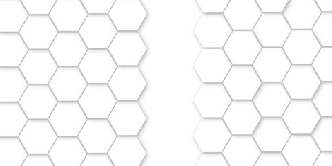 Abstract background with white color hexagons and seamless pattern vector design . luxury white pattern geometric mesh cell texture .hexagon 3d background texture design .