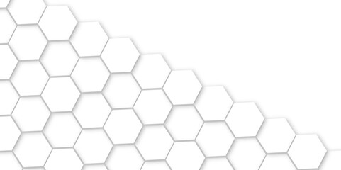 Abstract background with white color hexagons and seamless pattern vector design . luxury white pattern geometric mesh cell texture .hexagon 3d background texture design .