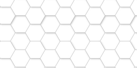 Abstract background with white color hexagons and seamless pattern vector design . luxury white pattern geometric mesh cell texture .hexagon 3d background texture design .