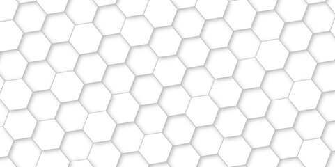 Abstract background with white color hexagons and seamless pattern vector design . luxury white pattern geometric mesh cell texture .hexagon 3d background texture design .