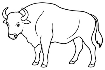 Line art of a buffalo 