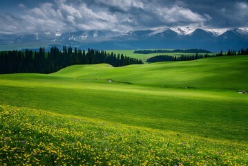 Obraz premium Lush green meadows with mountain backdrop.