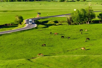 Scenic countryside road with grazing horses.