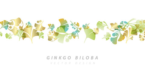 Herbal decorative banner. Vector background with plants design elements. Horizontal divider with ginkgo biloba leaves and branches.