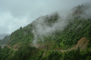 View of the forest from the mountain. Fog. Landscape concept.