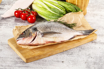 Raw dorada fish served rosemary